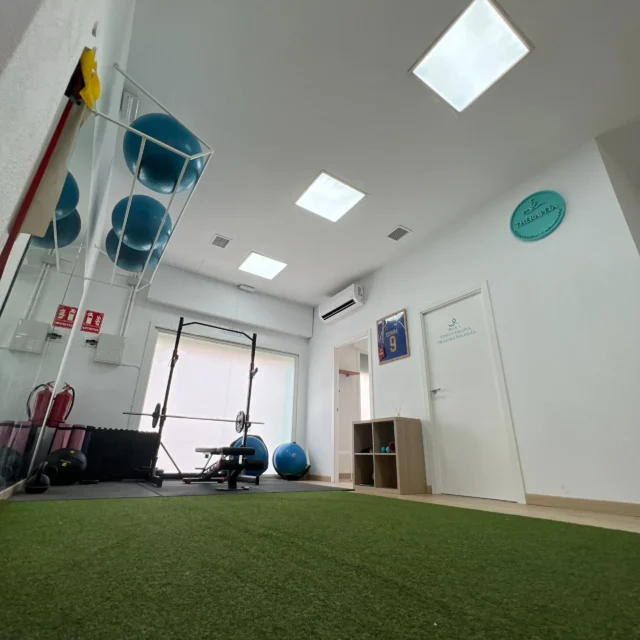 fisioterapia therapeia sevilla